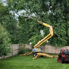 Best Tree Preservation Services  in Germantown, TN